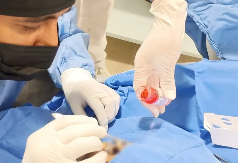 Equipo médico del IMSS realizando la exitosa primera cirugía de procuración de órganos y tejidos del año 2026 dentro de un quirófano.