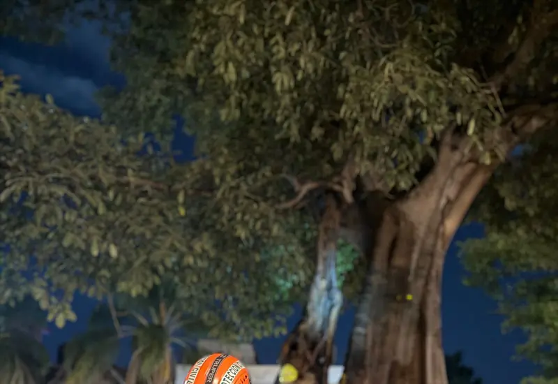 El histórico árbol plantado por Morelos es incendiado por segunda vez, mostrando llamas y humo emanando de su tronco principal.
