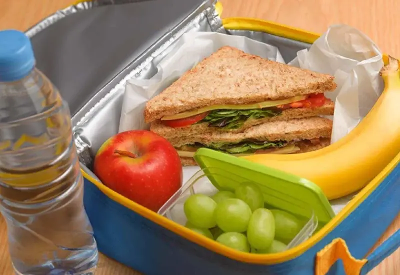 Una lonchera escolar abierta que muestra un lunch saludable y equilibrado con frutas, verduras y un sándwich, clave para el rendimiento académico.