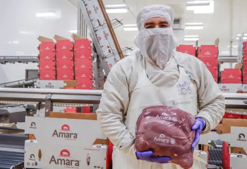 Cortes de carne de res y cerdo que ilustran los nuevos aranceles y límites de importación aprobados por los productores del sector.