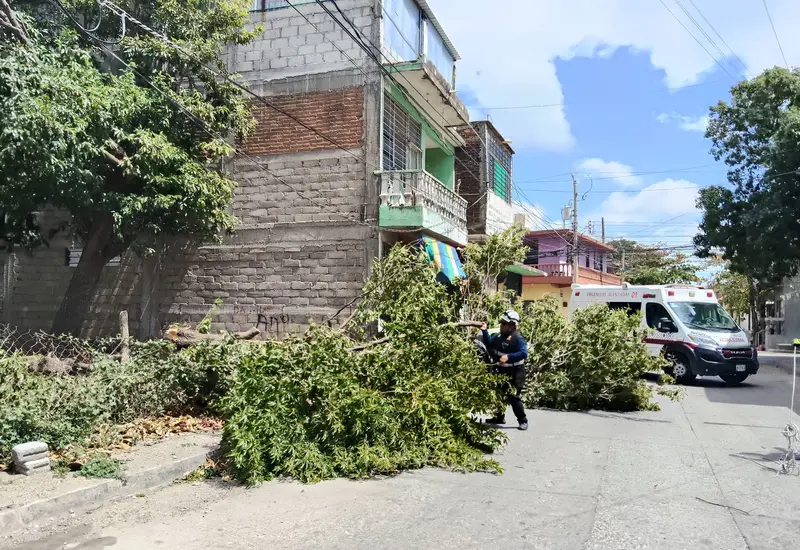 Caos por el viento: tractocamiones varados y sin energía eléctrica.