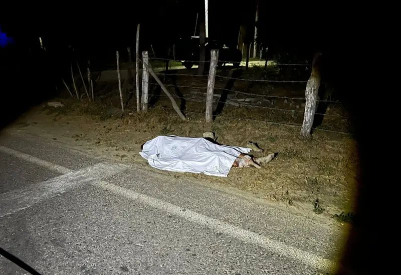 Un hombre de 35 años de edad falleció arrollado en la carretera a Mazunte, en Pochutla.