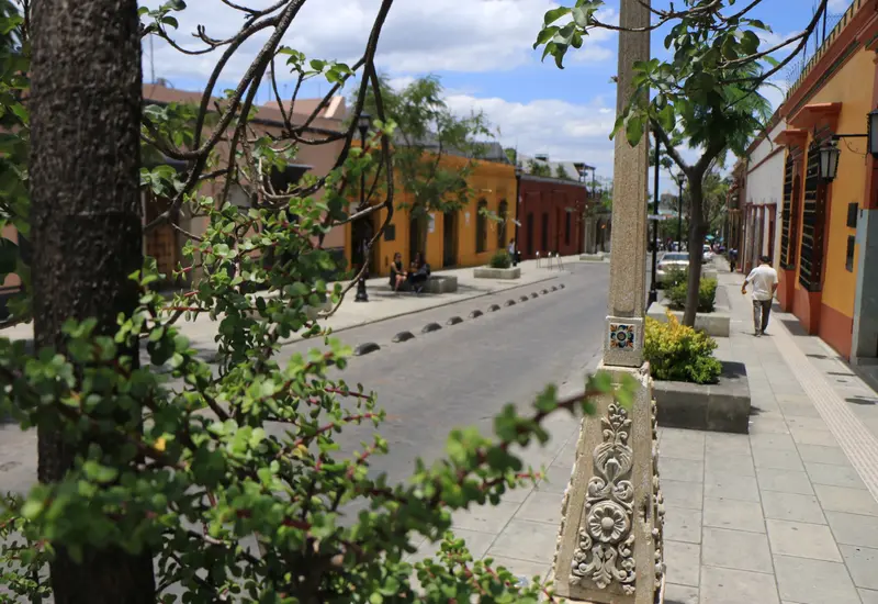 Una colorida y diversa calle del centro histórico de Oaxaca, con su arquitectura colonial y ambiente vibrante que representa la riqueza cultural de la ciudad.
