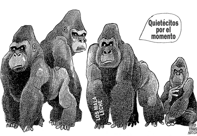 Caricatura política del artista Mario Robles que ilustra el concepto de que la paz social es un proceso que se construye, no se decreta.
