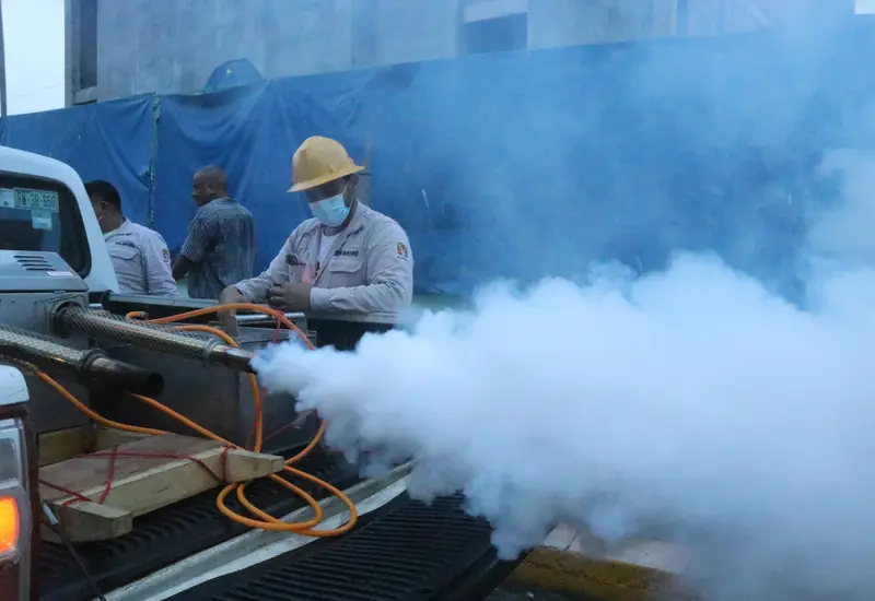 Imagen representativa del mosquito Aedes aegypti, transmisor del dengue, ilustrando el riesgo de propagación debido a la combinación de calor y lluvias.