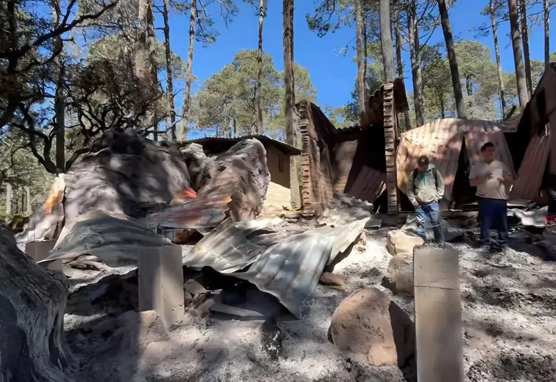El territorio de Yavesía dañado por el siniestro, un incendio denunciado como violencia ambiental que afectó la memoria y organización comunitaria.