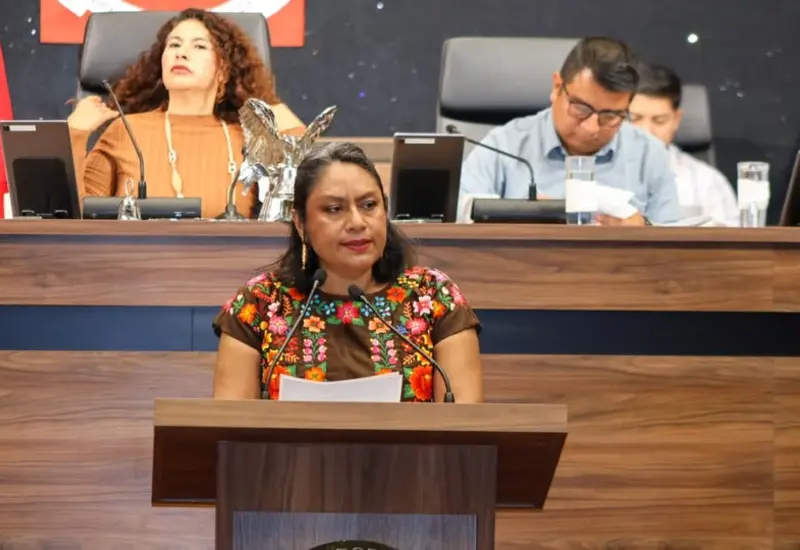 La legisladora Irma Pineda durante su intervención donde cuestionó los criterios de distribución del presupuesto y la falta de una política cultural en la entidad.