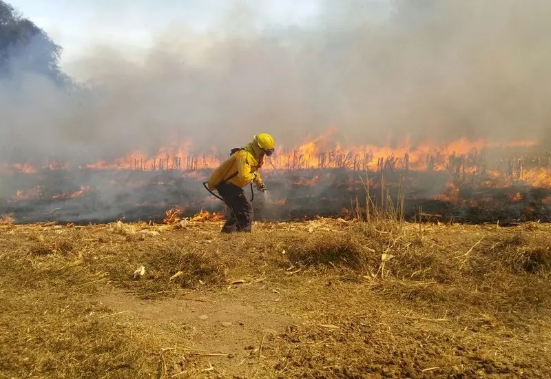 Fuego en el Istmo: vientos y quemas agrícolas mantienen activos dos incendios.