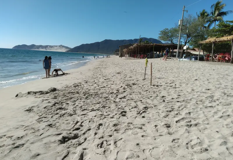 Los prestadores esperan aumentar ventas hasta 60%.