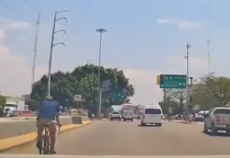El video fue difundido en redes sociales.