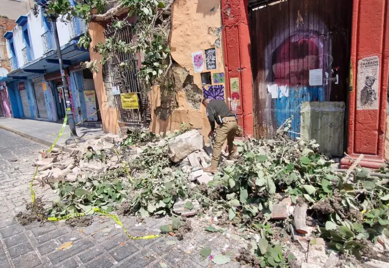 Alerta en el Centro Histórico: parte de una barda se desploma.