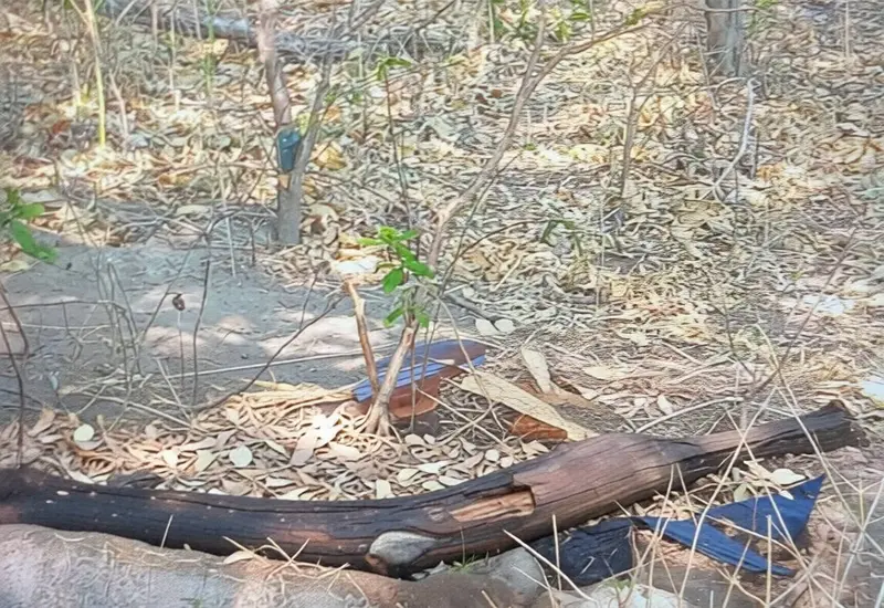 Un hombre fue localizado en estado de descomposición en el paraje La Bomba, en Santo Domingo Tehuantepec.