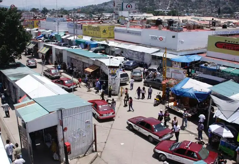 Mercados de Oaxaca bajo la lupa: piden sanciones por tráfico de biodiversidad.