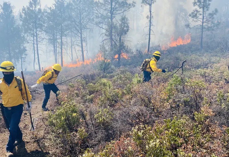 Tres incendios intencionales y más de mil hectáreas afectadas en Oaxaca.