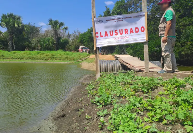 Construcción ilegal en humedal costero provoca clausura inmediata.