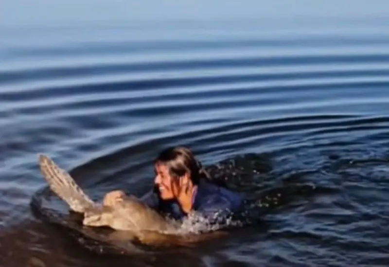 Un grupo de voluntarios ayuda a más de 400 tortugas marinas a regresar al mar en Playa Escobilla después de ser rescatadas.